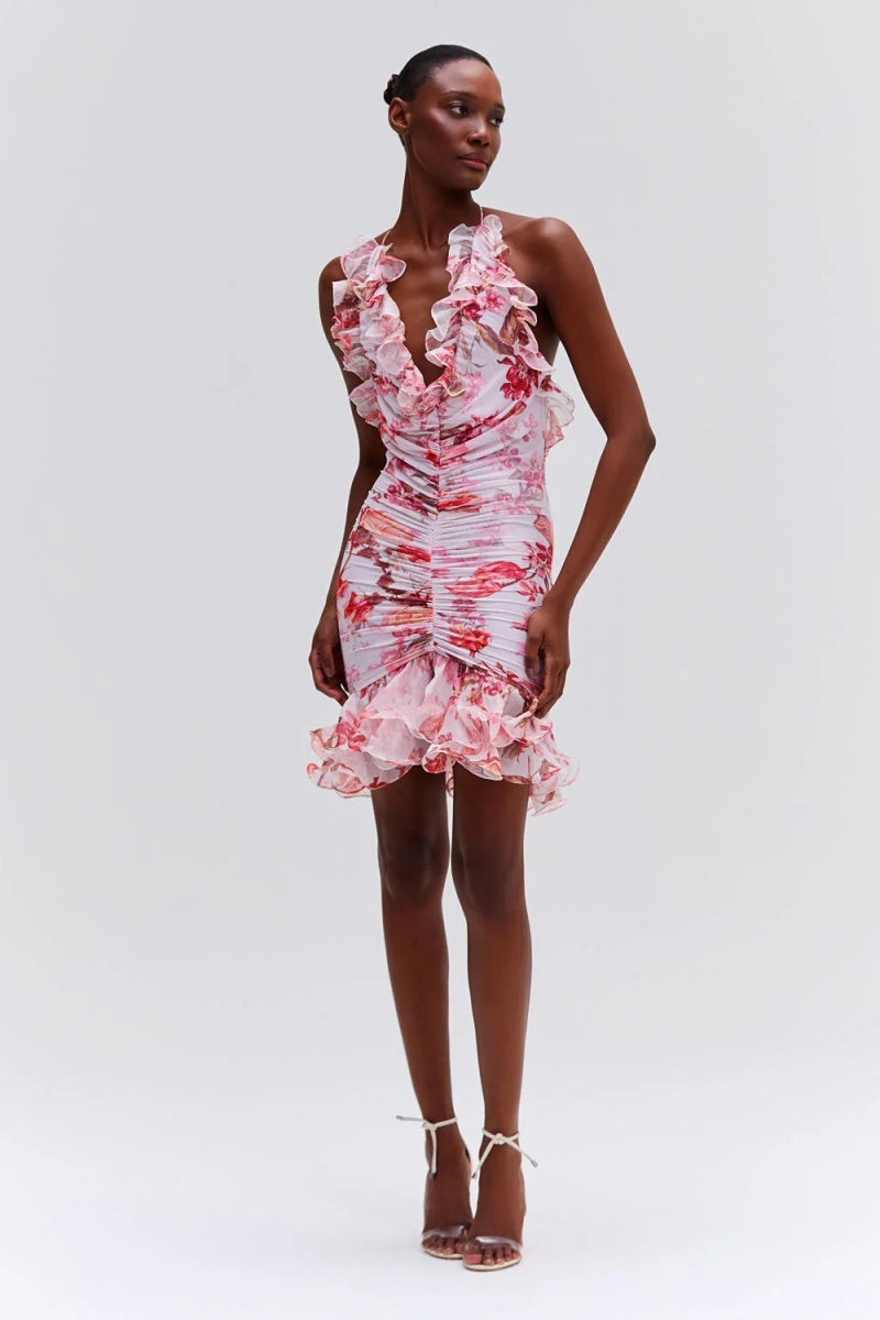 Haze Stretch Tulle Sleeveless Mini Dress
