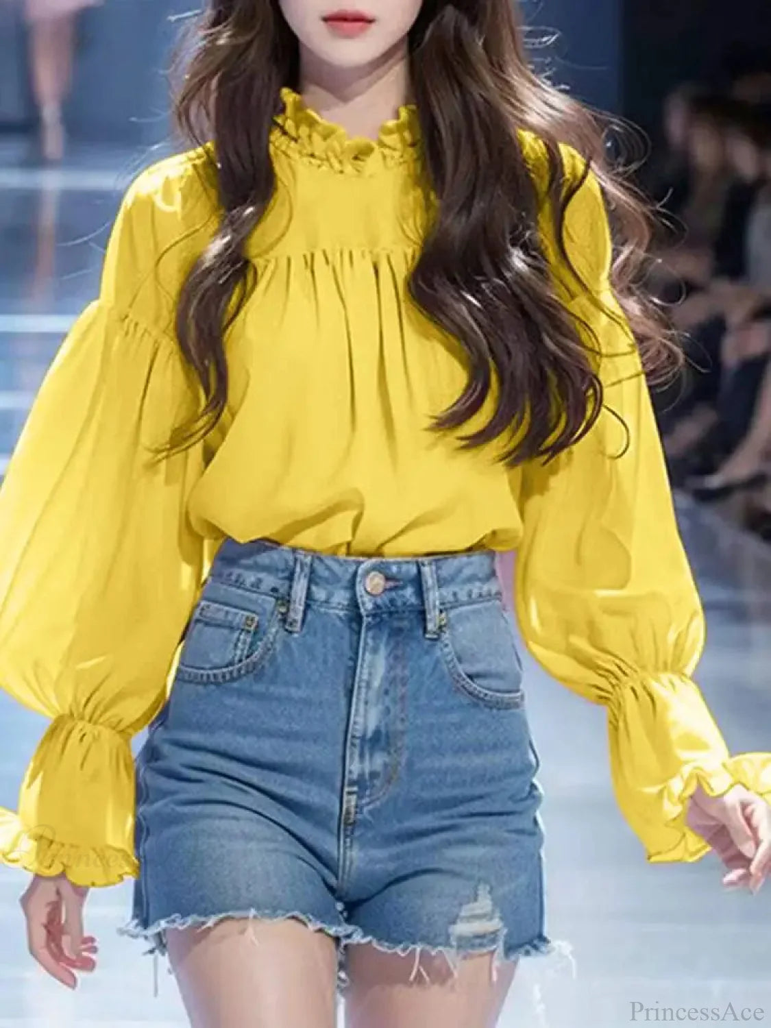 Lantern Sleeve Stand Collar Blouse