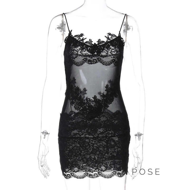 Whitleigh Lace Mesh Mini Dress